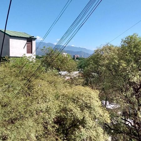 Acogedor Departamento Frente Al Parque Civico Apartment Mendoza Ngoại thất bức ảnh
